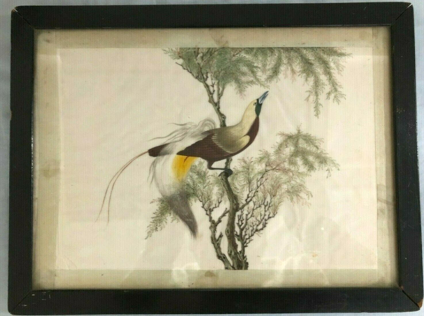 Amazing Quality Antique Chinese Rice Paper Painting