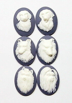 6 Different Breeds Of 40x30 Mm White Over Blue Grey Dog Resin Cameos, Very Nice