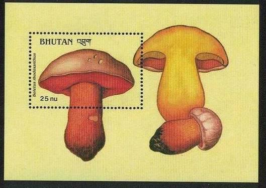 👉 Bhutan 1989 Mushrooms S/s #6 Mnh Plants, Food